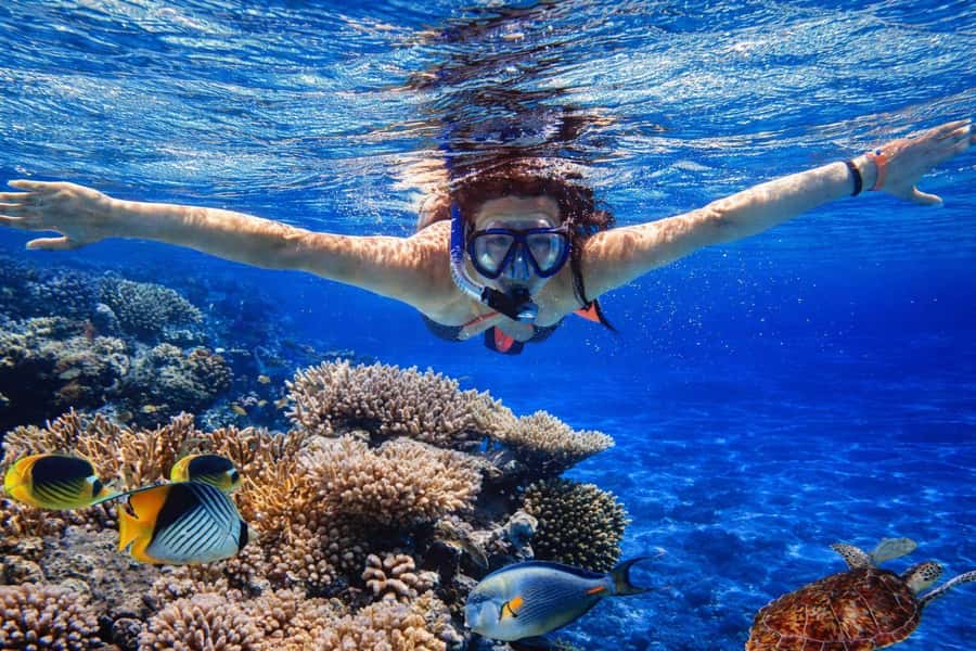 Bali/Lovina: Guided Dolphin Watching & Sunrise Boat Snorkel - Is $18 a good deal?