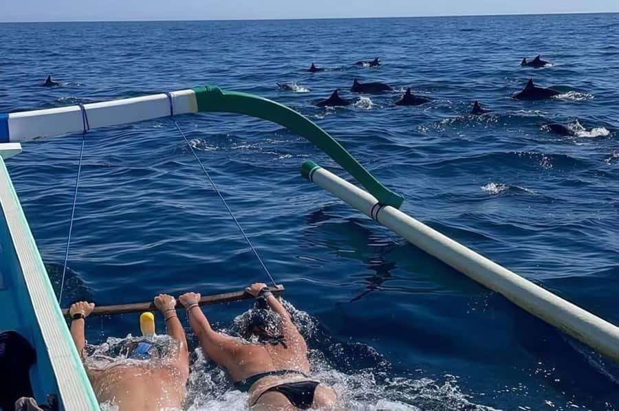 Bali: Lovina Swimming With Dolphine & Snorkeling Tour - Key points to know before you book