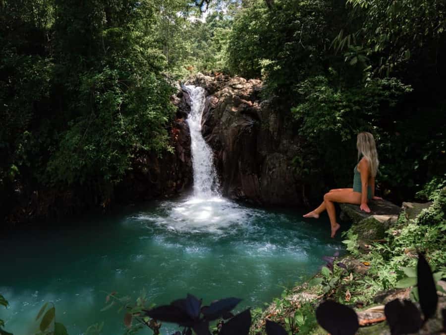 Bali: Swimming with dolphin & waterfal tour, all inclusive. - Key points to know before booking