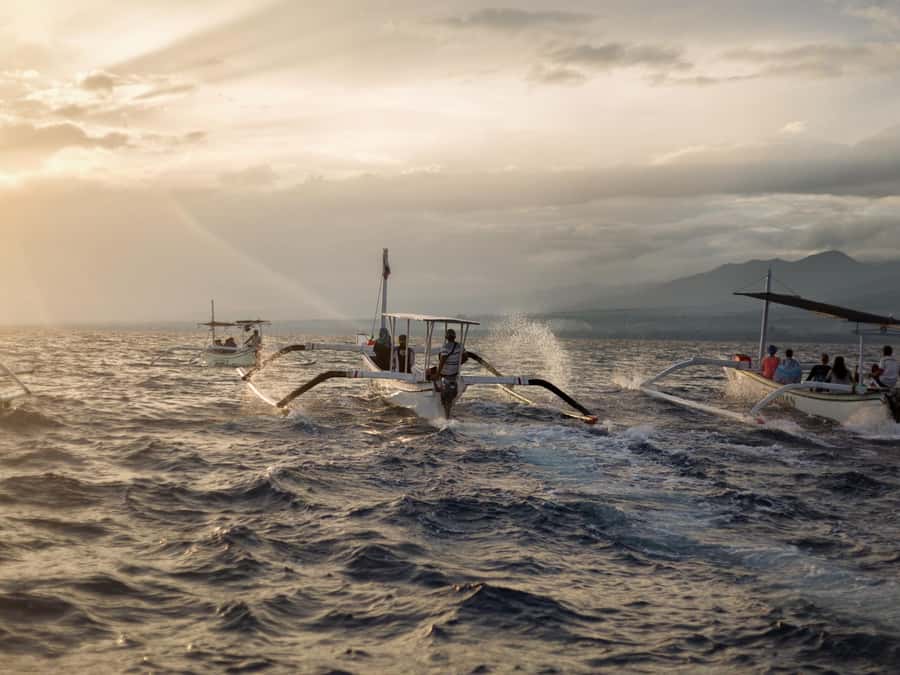 Bali: Swimming with dolphin & waterfal tour, all inclusive. - FAQ