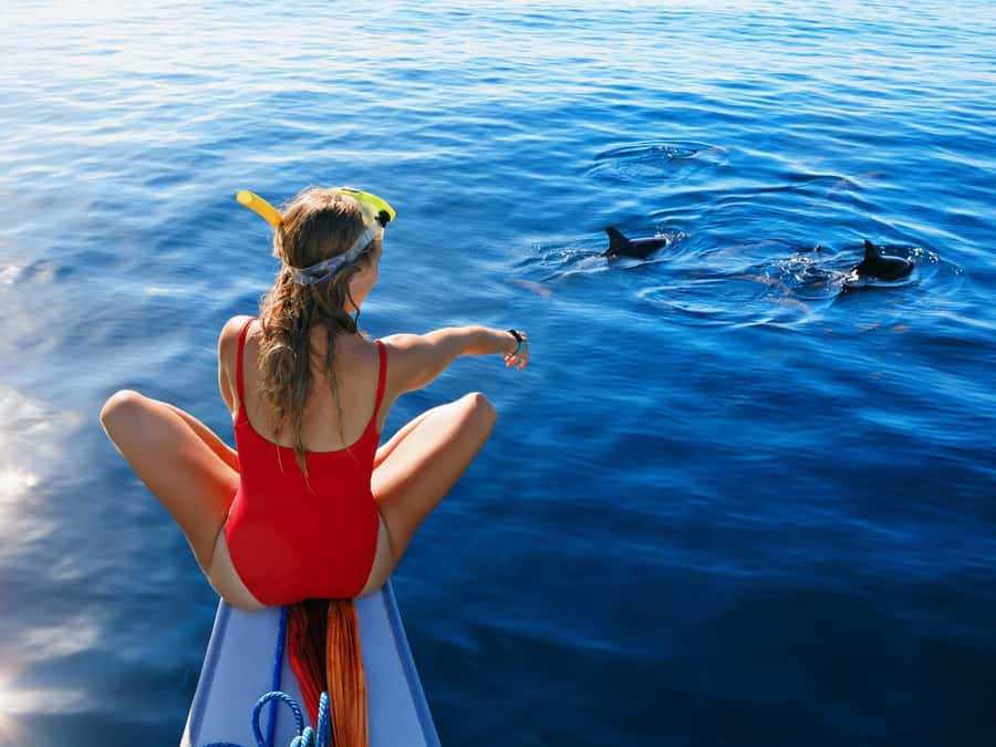 Bali: Swimming with dolphin & waterfal tour, all inclusive. - A 3:30 a.m. start for Lovina Beach