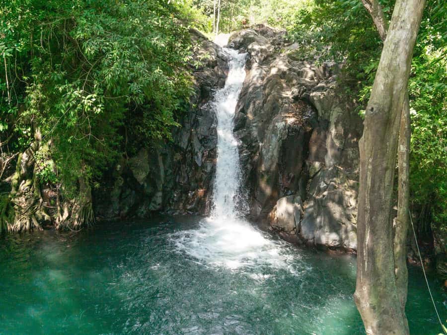 Bali: Swimming with dolphin & waterfal tour, all inclusive. - Aling Aling Waterfall is the tour’s natural high point