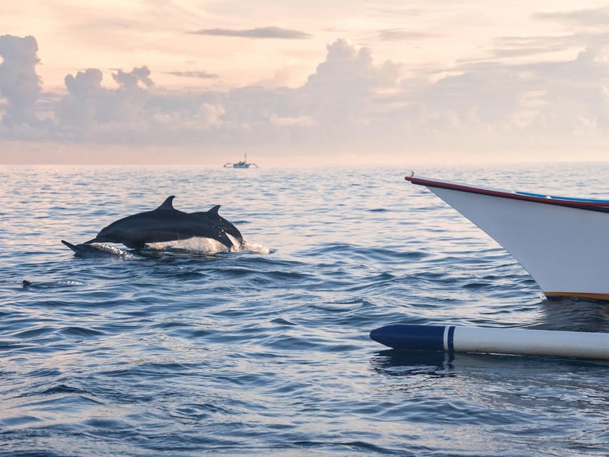 Bali: Swimming with dolphin & waterfal tour, all inclusive. - Practical packing advice for this exact itinerary