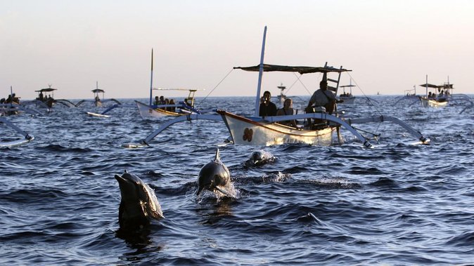 Bali Watching Dolphin at Lovina Beach & aling aling waterfall - Lovina Beach and the sunrise boat