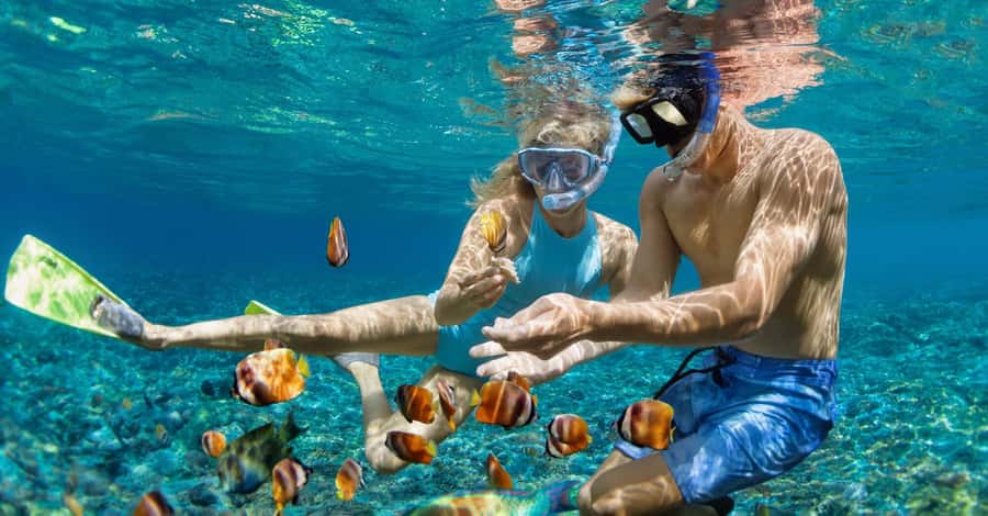 Bali: Watching Dolphin, Swimming & Snorkeling Tour - The boat ride back to Lovina Beach