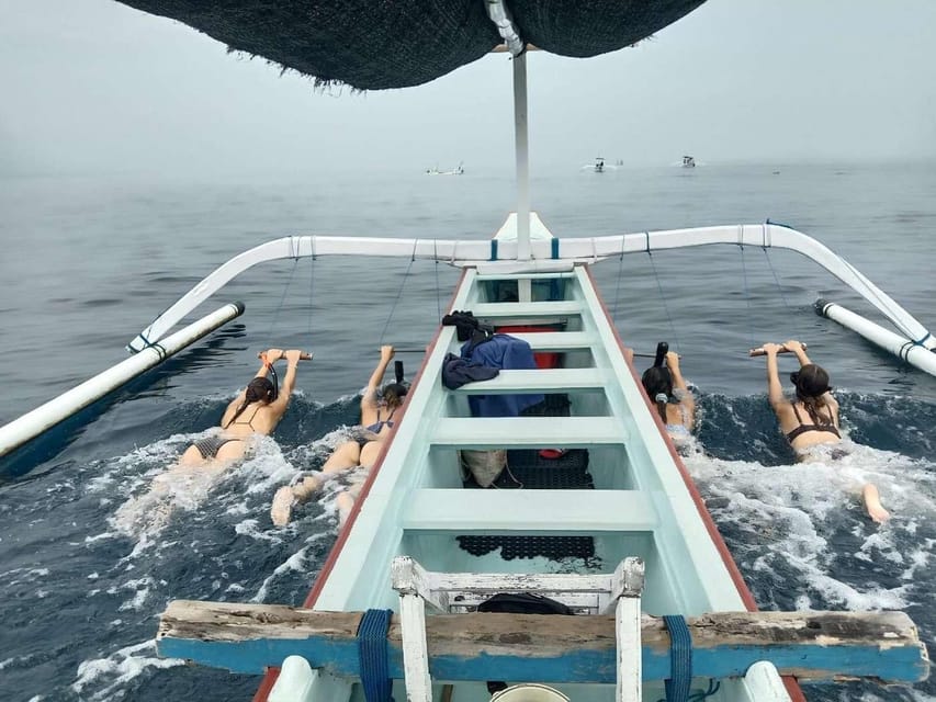 Bali: Watching Dolphin, Swimming & Snorkeling Tour - Who will enjoy this morning most?