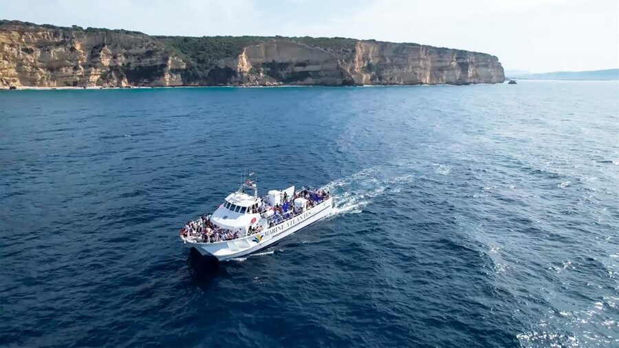 Barbate: Dolphin and Whale Watching in Cape Trafalgar - What makes this Barbate boat trip worth considering
