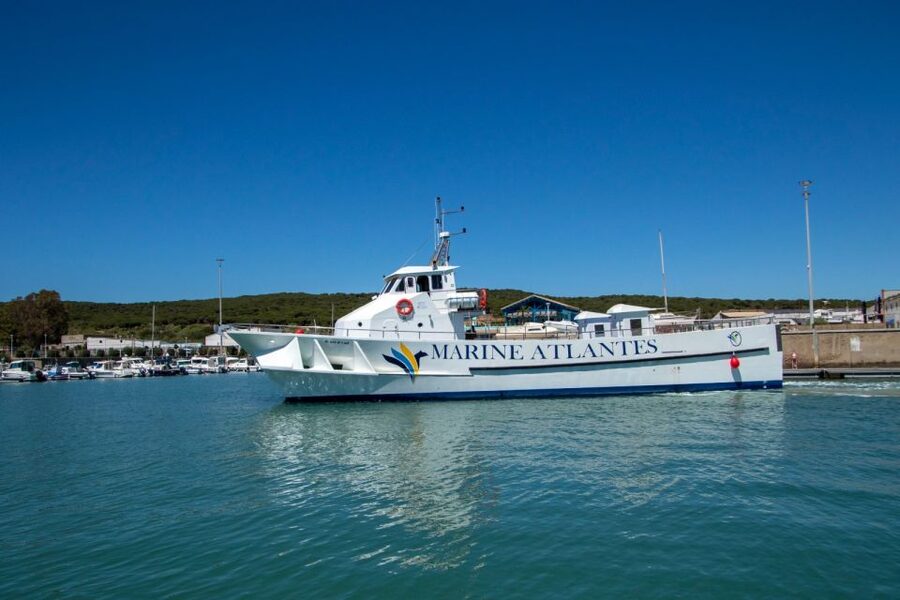 Barbate: Dolphin and Whale Watching in Cape Trafalgar - Searching the Atlantic for whales and dolphins