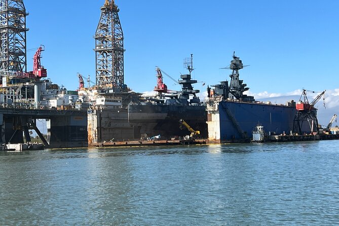 Baywatch Dolphin Tours – Pier 21 Galveston - Captain Adam’s mix of jokes and Galveston stories
