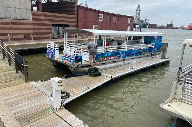 Baywatch Dolphin Tours – Pier 21 Galveston - Finding dolphins near Galveston