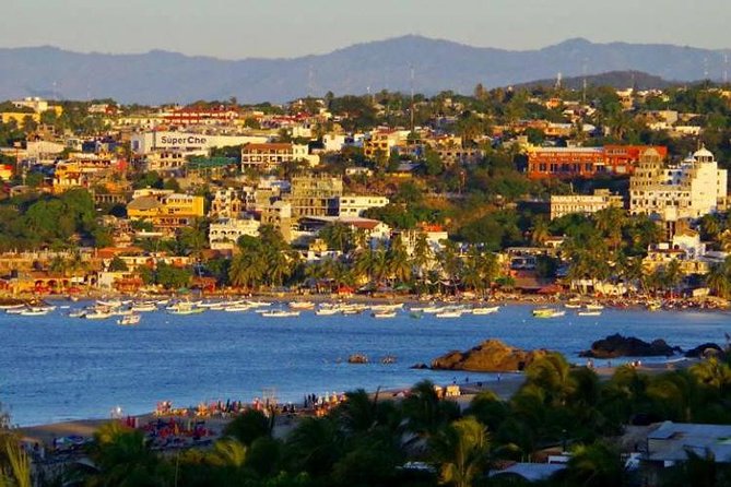 Beaches Dolphins And Viewpoints Discovering The Hidden Port By Sea And Land - Guide Style and Group Size