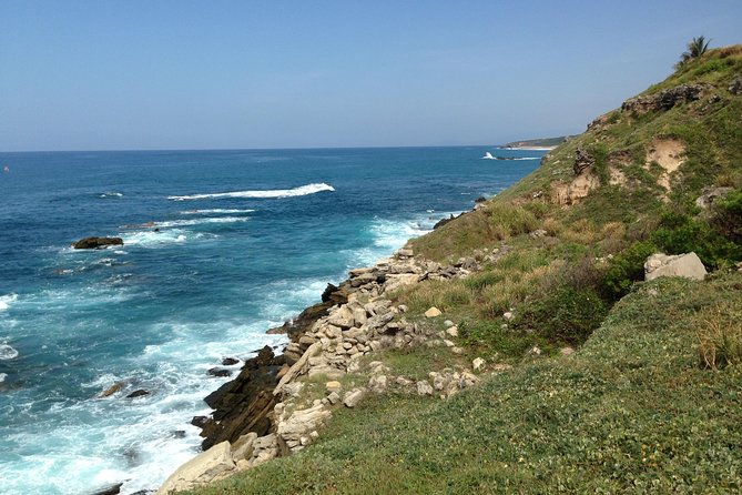 Beaches Dolphins And Viewpoints Discovering The Hidden Port By Sea And Land - Pickup, Timing, and Cancellation Rules