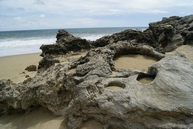 Beaches Dolphins And Viewpoints Discovering The Hidden Port By Sea And Land - Who Will Get the Most From This Tour?