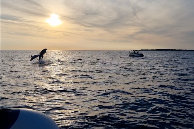 Beautiful Sunset and Dolphin Watching - What a dolphin sighting may feel like