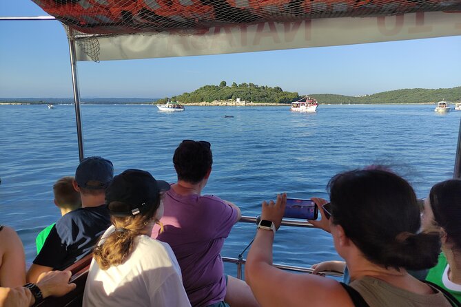 Beautiful Sunset and Dolphin Watching - Who will enjoy this boat trip most?