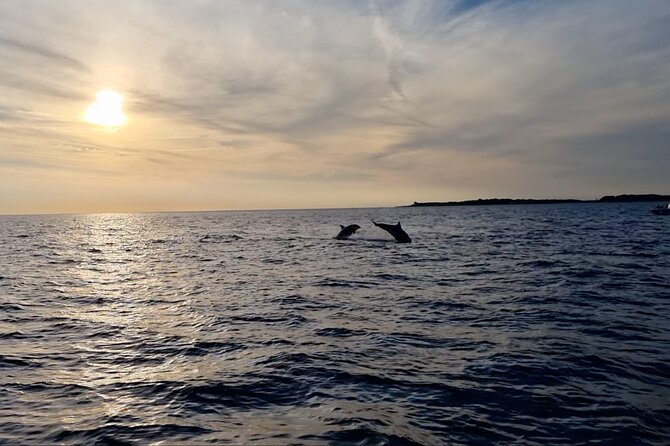 Beautiful Sunset and Dolphin Watching - Timing, group size, and practical planning