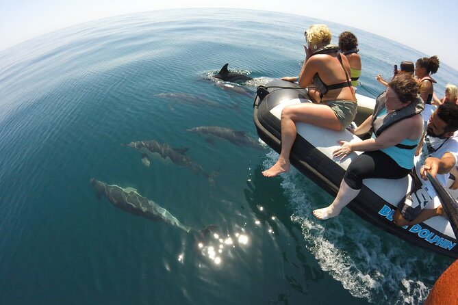 Benagil Caves and Dolphins from Albufeira - Why this Albufeira boat trip makes sense