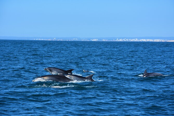 Benagil Caves Visit with Dolphins Watching from Albufeira - Senhora da Rocha and the chapel above the sea