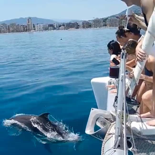 Benalmádena: Catamaran with dolphin watching and drinks - Key points to know before you book