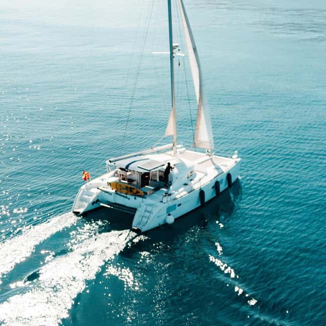 Benalmádena: Catamaran with dolphin watching and drinks - Dolphin watching along the Costa del Sol