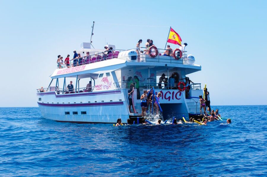 Benalmadena: Dolphin Watching Boat Tour - What the strongest feedback tells me