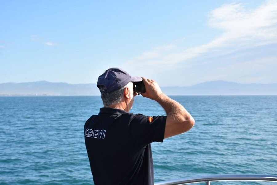 Benalmadena: Dolphin Watching Boat Tour - The dolphin search and the secret stop