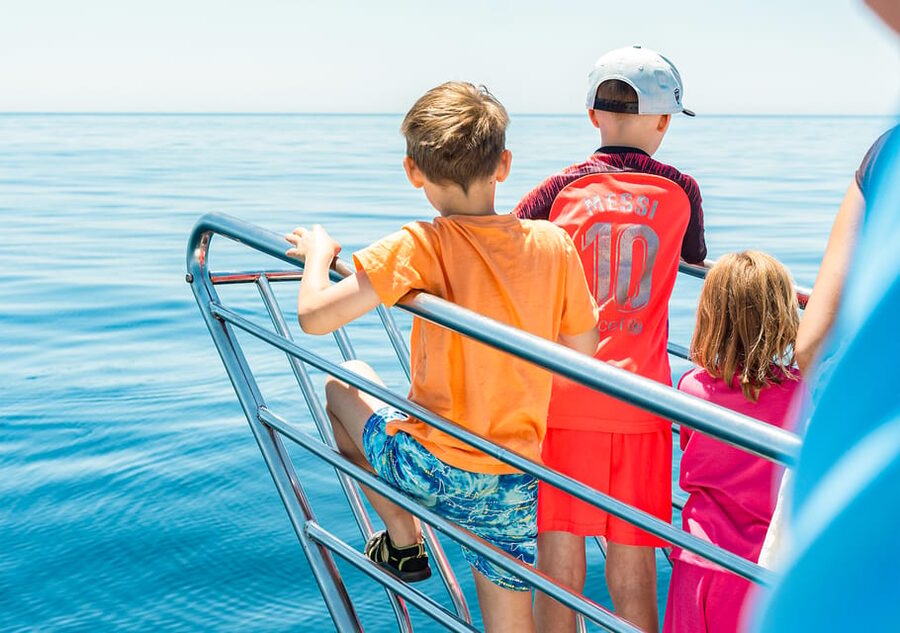Benalmadena: Dolphin Watching Boat Tour - The route toward Málaga and the beach views