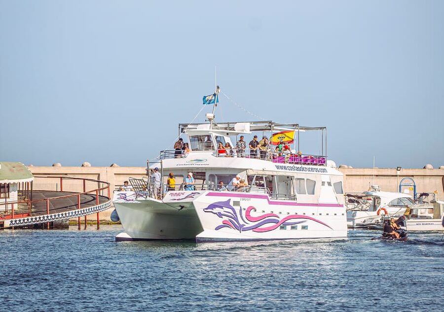 Benalmadena: Dolphin Watching Boat Tour - Finding the boat at Benalmádena marina