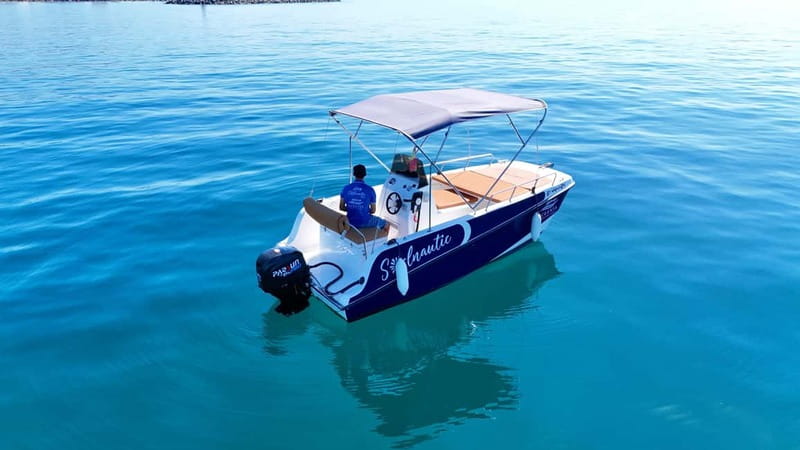 Benalmádena: license-Free Rent Boat for Dolphin Watching - Dolphin watching without the pressure of a wildlife cruise
