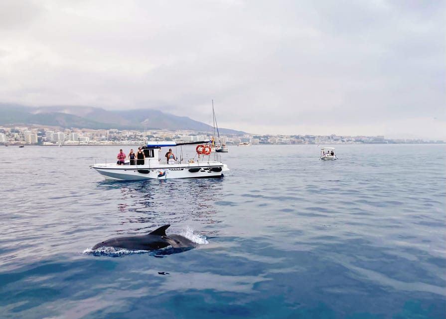 Benalmadena: Private Boat Trip – Dolphins, Drinks & Snacks - Key points to know before booking