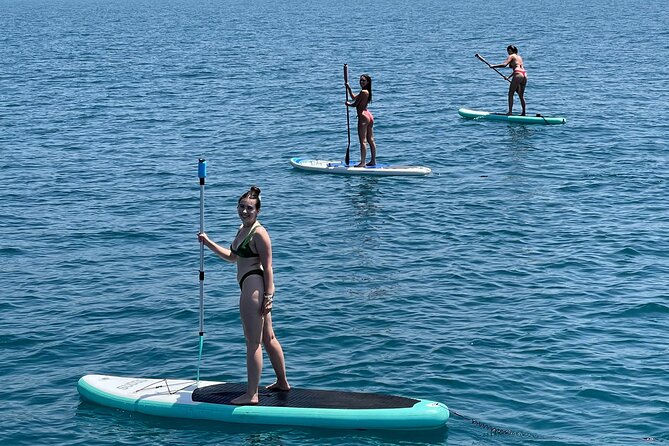 Benalmádena: Sailing and Dolphin Watching with Snacks and Drinks - Snorkeling and swimming expectations