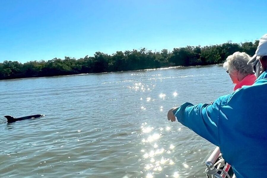 Best of Marco Dolphin Tour - Is $100 per person a fair price?