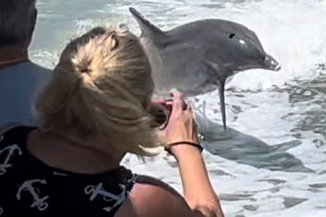 Best of Marco Island Dolphin Tour - Why this Marco Island boat tour works
