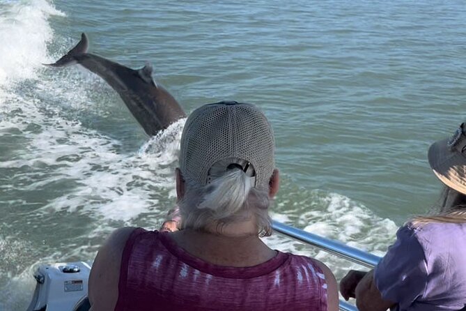 Best of Marco Island Dolphin Tour - What to bring, and what to leave behind
