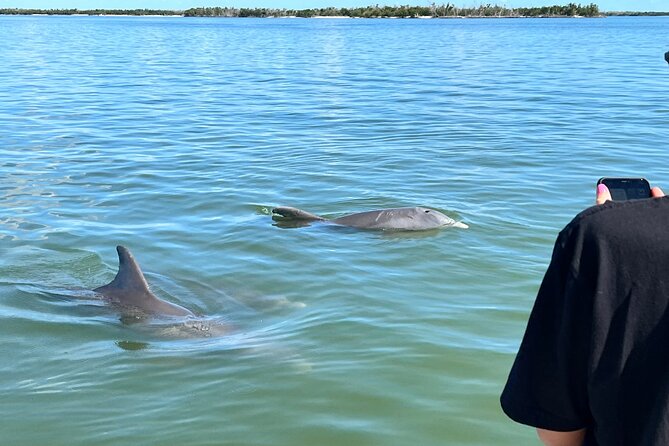 Best of Marco Island Dolphin Tour - The captains are part of the value