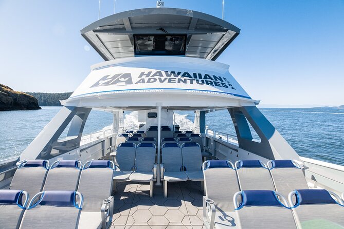 Big Island: Pelagic Whale Watch Tour - Leaving Honokohau Harbor at 8:30 a.m.