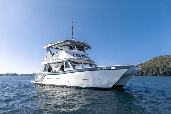 Big Island: Pelagic Whale Watch Tour - The pelagic zone and its larger surprises
