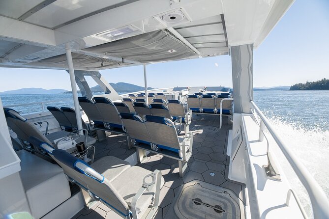 Big Island: Pelagic Whale Watch Tour - What Artemis feels like on the water