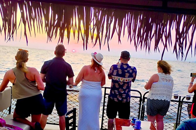 Big Kahuna Sunset Dolphin Cruise Experience - Dolphin watching without a show-tank feel