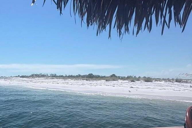 Big Kahuna Sunset Dolphin Cruise Experience - BYOB: what to bring and what the boat supplies