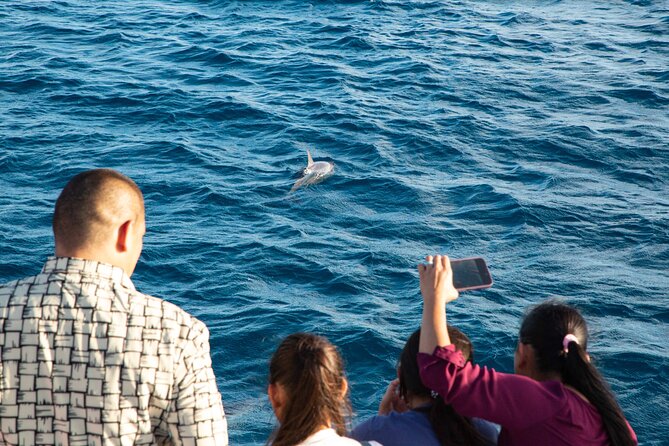 BIG Sunset Cruise - Dinner & Dolphin Watching in Guam - Key things to know before you book