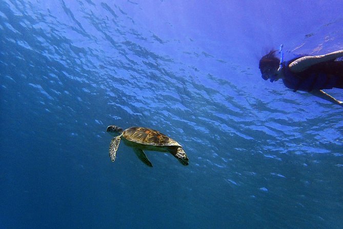 BIG Sunset Cruise - Dinner & Dolphin Watching in Guam - BBQ dinner, drinks, and the social mood