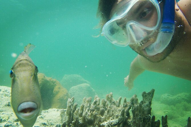 Biologist Owned & Operated: Dolphin Watching & Guided Snorkeling - Fresh snacks, shade, and a quieter boat
