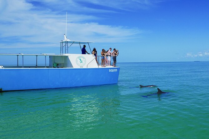 Biologist Owned & Operated: Dolphin Watching & Guided Snorkeling - Getting there without a last-minute scramble
