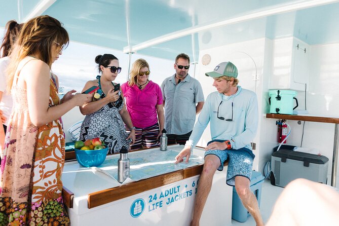 Biologist Owned & Operated: Dolphin Watching & Guided Snorkeling - Why the dolphin watching feels different