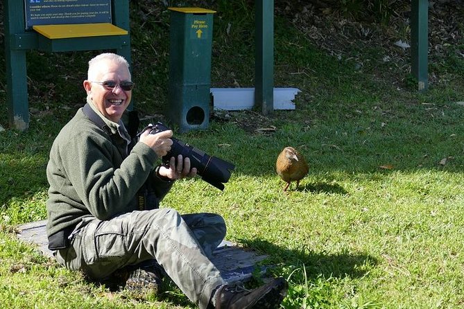 Bird Watching and Dolphin Eco-Tour to Blumine Island - Key points to know before you go