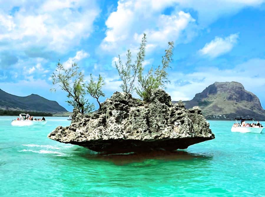 Black River: Swim with Dolphin Speed Boat Tour with lunch - Île aux Bénitiers and the long lunch break