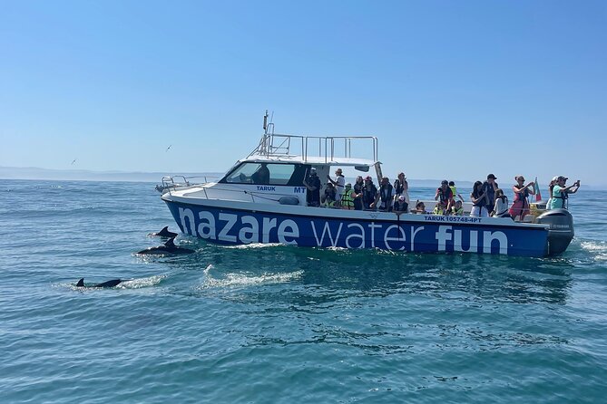 Boat Tour : Observation of Dolphins and Nazareth Canyon - Key points to know before booking