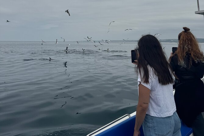 Boat Tour : Observation of Dolphins and Nazareth Canyon - What the Nazaré boat trip actually offers
