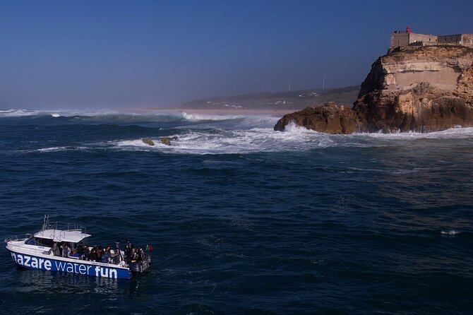 Boat Tour : Observation of Dolphins and Nazareth Canyon - The red lighthouse and São Miguel Fort